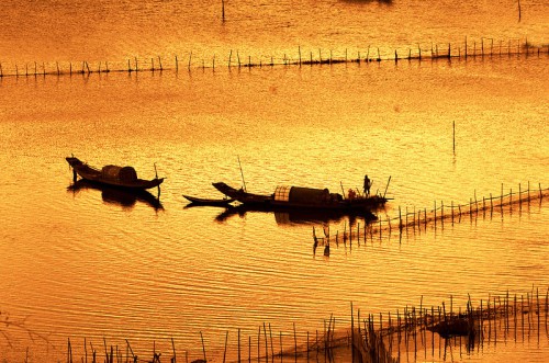 Thời điểm đẹp nhất ngắm bình minh trên phá là từ 5h30 đến 7h. Ảnh: Mèo già