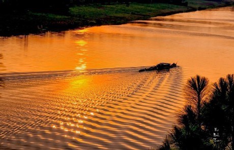 Ảnh: Nguyen Thao Dac