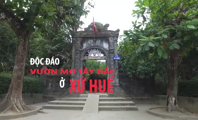 Độc đáo vườn mơ Tây Bắc ở Huế