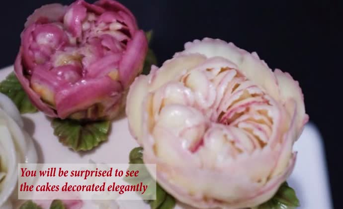 The novel Midori Sweet cakes