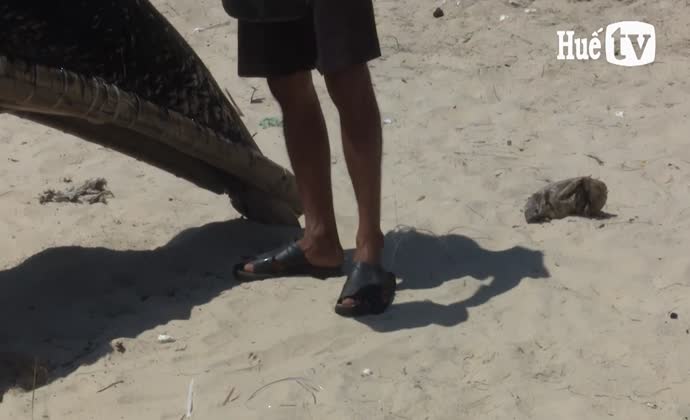 The remaining boatmaker in Hoa Duan sea