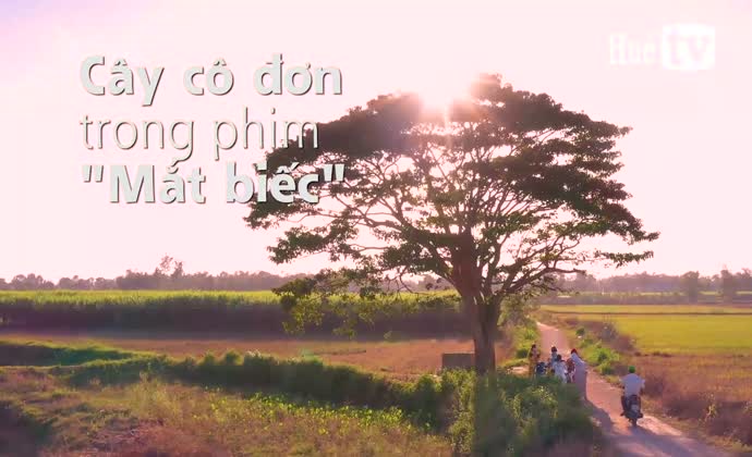 Cây cô đơn trong “Mắt biếc”