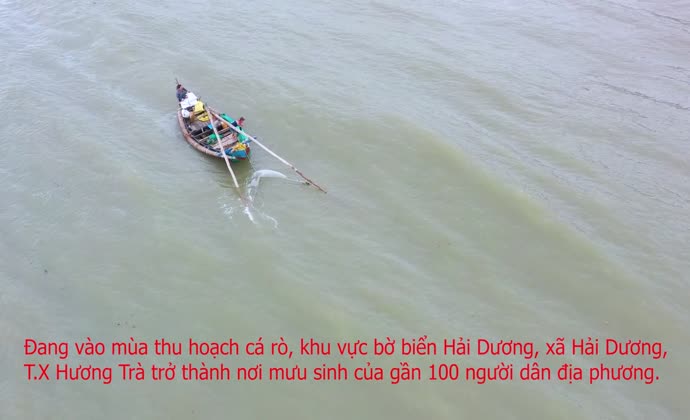 Vào mùa thu hoạch cá rò