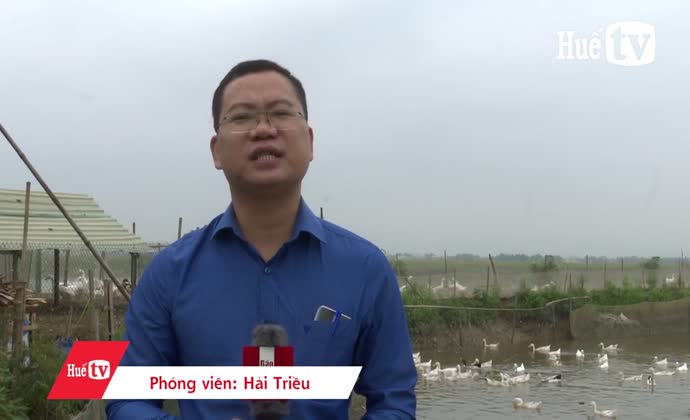 Khẩn trương giải cứu nông sản