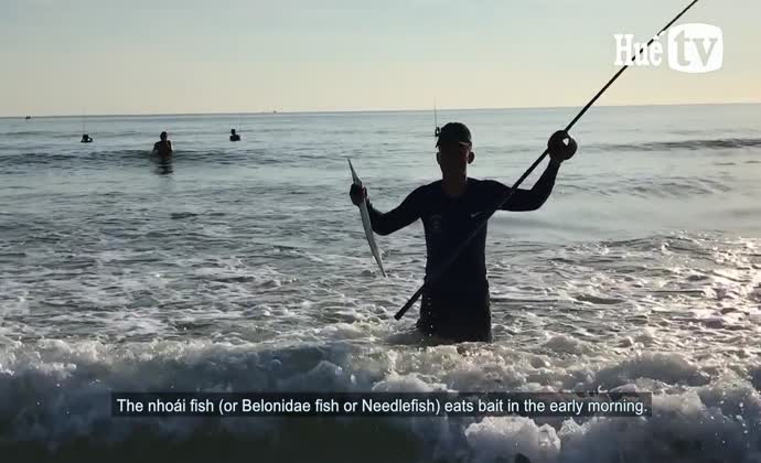 When the sea is calm, fish the needlefish