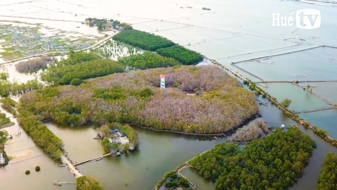 Culture and Tourism news bulletin No. 16