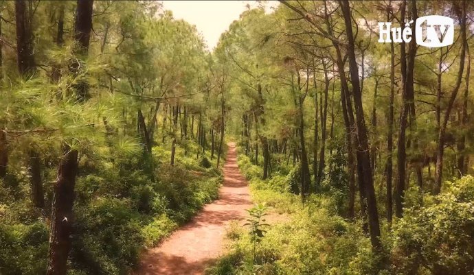 Bản tin Văn hóa - Du lịch ngày 15/10