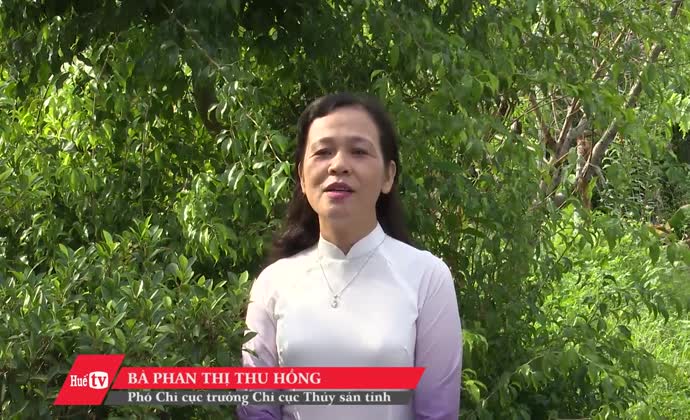 Các giải pháp giảm thiểu thiệt hại khi nuôi cá mùa lũ