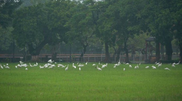 Culture and Tourism news bulletin No. 19