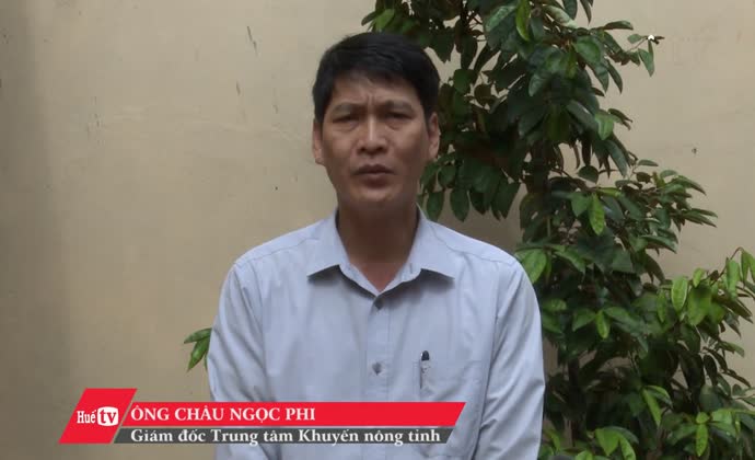 Thông tin tư vấn về ương dưỡng các giống cá nước ngọt