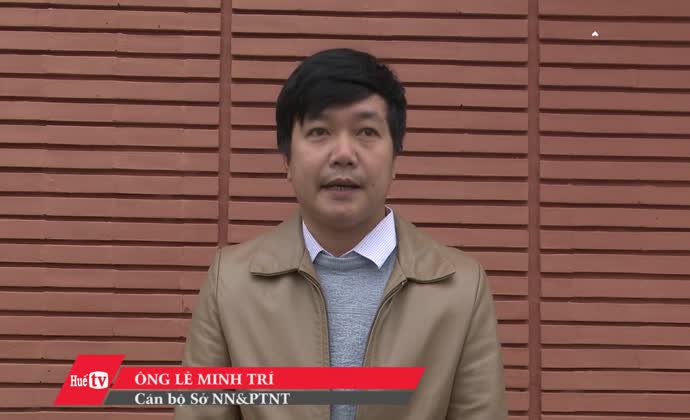 Tư vấn phương pháp bón phân cho hoa màu