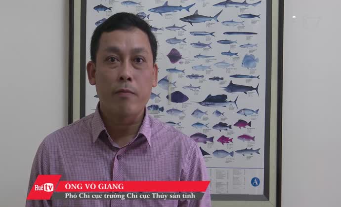 Tư vấn những nghề được phép khai thác trên đầm phá