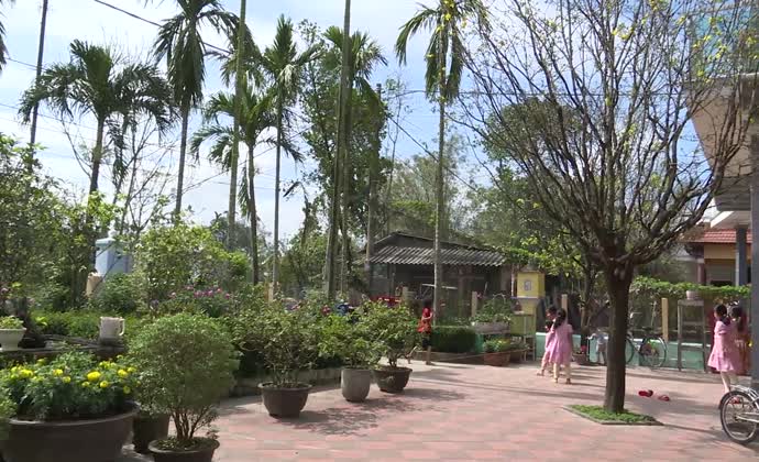 Hoàng mai trong lòng người Huế