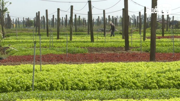 Bản tin kinh tế ngày 27/2