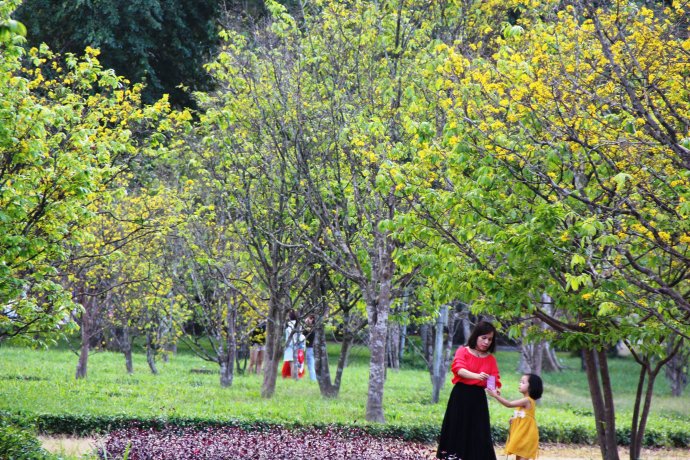 Culture and Tourism news bulletin No. 38