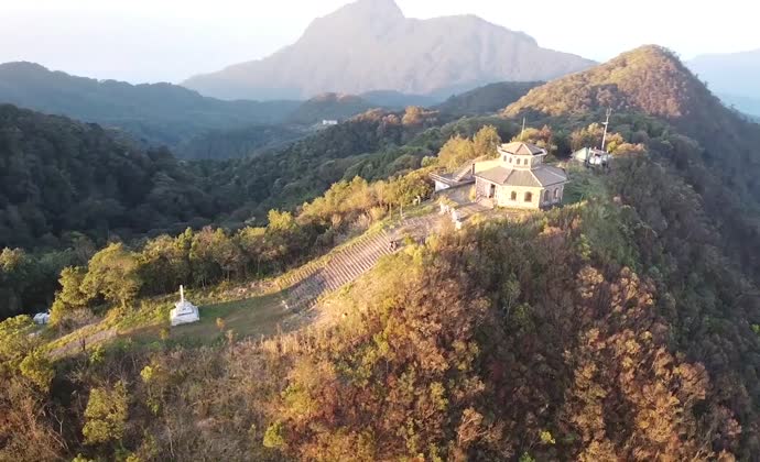 Watching Pygathrix Nemaeus in Bach Ma