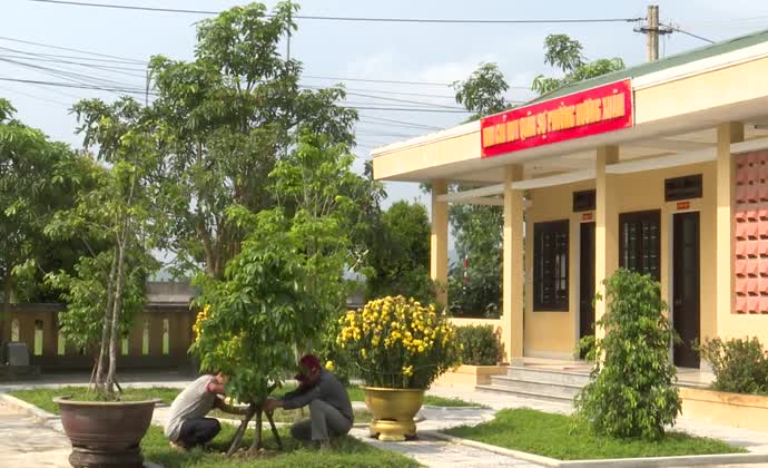Trồng hoàng mai trước ngõ: Tạo khác biệt, tăng giá trị