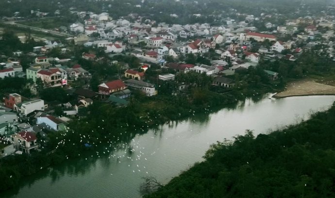 Nơi cò trắng bay về