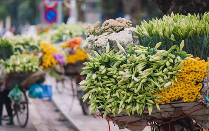 Bản tin Văn hóa - Du lịch ngày 15/4