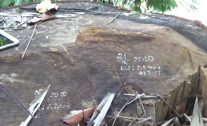 Hỗ trợ kiểm soát rừng bằng công nghệ