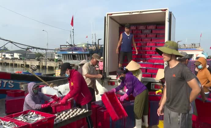 Chênh lệch giá hải sản, ngư dân thiệt đủ đường