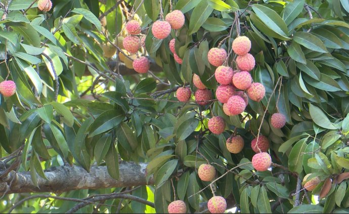 Bản tin Văn hóa - Du lịch ngày 20/5