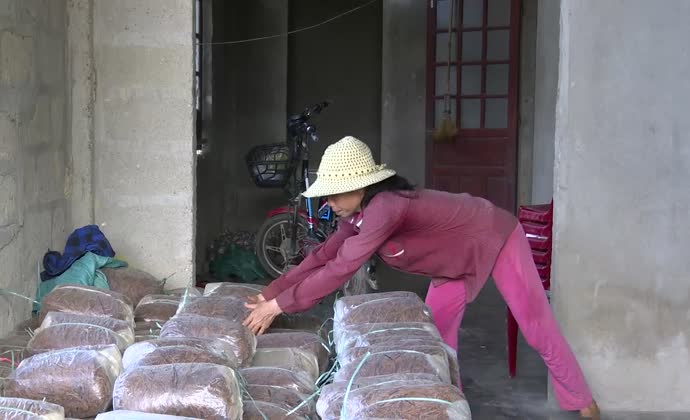 Thêm nguồn lực tái thiết cuộc sống sau thiên tai