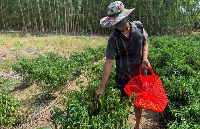 Nắng nóng cực điểm, đời sống đảo lộn