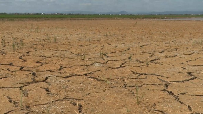 Bản tin kinh tế ngày 2/7: Lo nước cho vụ hè thu