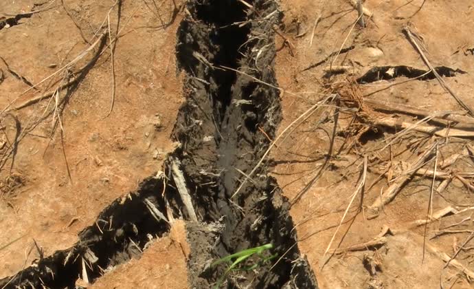 Lo nước cho vụ hè thu