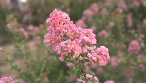 Điểm check in mới của giới trẻ