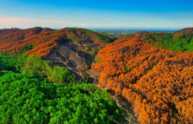 Culture and Tourism news bulletin No. 58