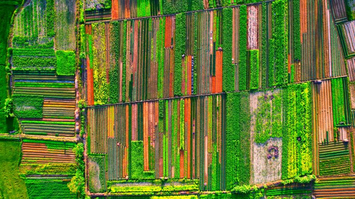 Culture and Tourism news bulletin No. 62