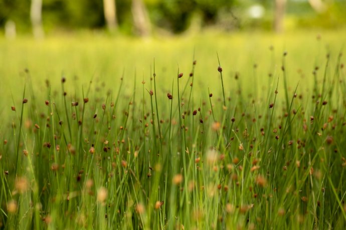 Bản tin Văn hóa - Du lịch ngày 2/9