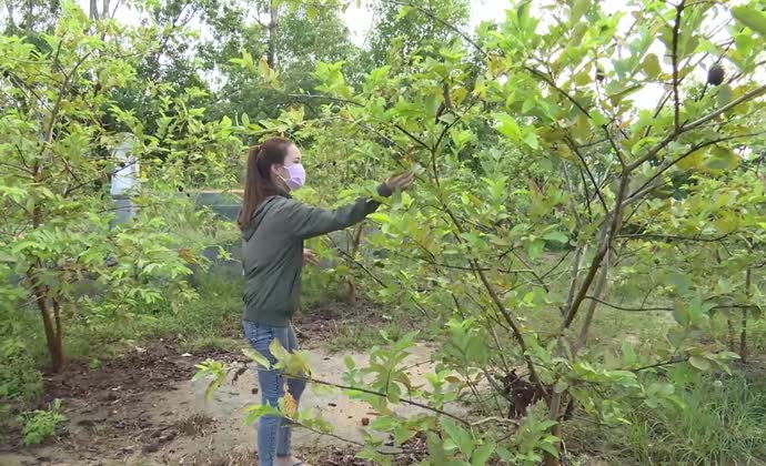 Hướng việc làm cho lao động hồi hương sau dịch