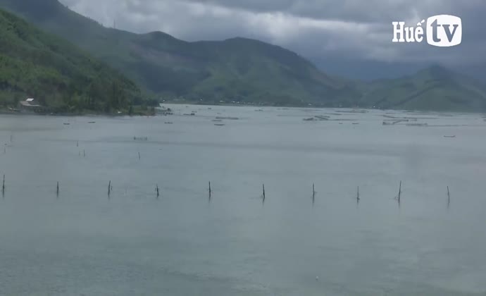 Tìm chuỗi giá trị cho cá đặc sản