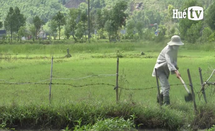 Tránh lãng phí tài nguyên đất