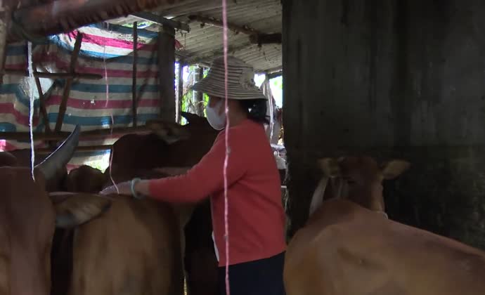 Cần thêm nguồn vốn trong giải quyết việc làm