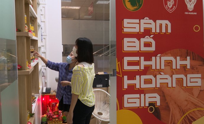 Bản tin kinh tế ngày 12/11: Đưa sâm bố chính vươn xa