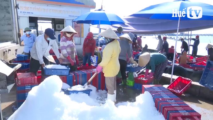 Cấp thiết xây dựng chuỗi hải sản