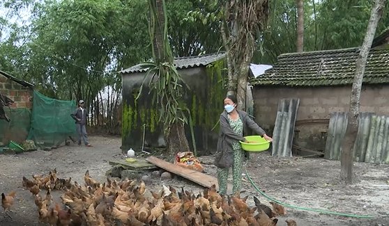 Sinh kế cho phụ nữ vươn lên