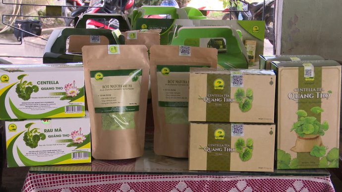 Bản tin kinh tế ngày 7/1: Hợp tác xã gặp khó khi đưa sản phẩm OCOP ra thị trường