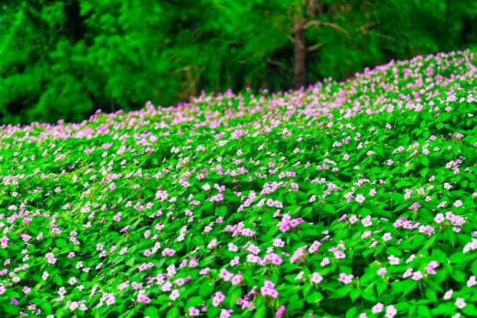 Culture and Tourism news bulletin No. 83