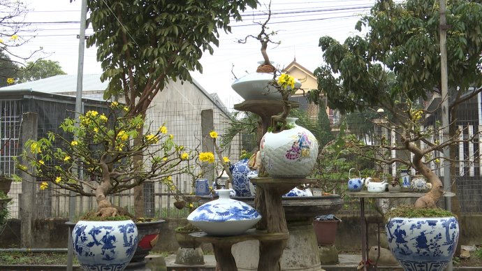 Mai nghệ thuật chơi tết