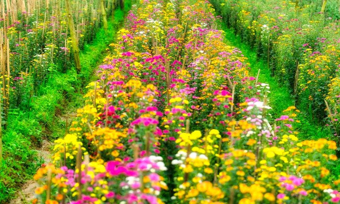 Culture and Tourism news bulletin No. 85