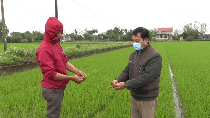 Bản tin kinh tế ngày 19/2: Phát triển chuỗi liên kết sản xuất tiêu thụ nông sản