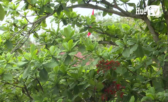 Học sinh làm tranh dân gian trên xương lá