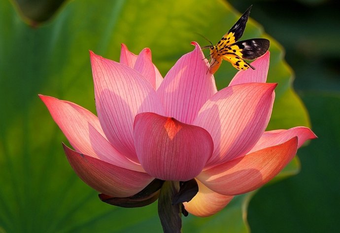 Culture and Tourism news bulletin No. 99