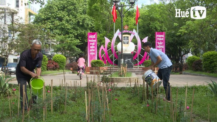 Tô điểm phố phường với sắc hồng Cố đô