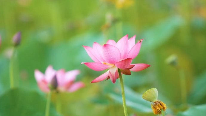 Bản tin Văn hóa - Du lịch ngày 2/6